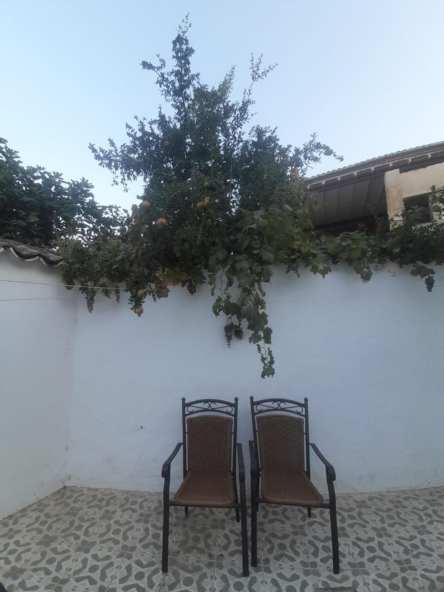 El Molino De Aceite Villa Baeza Dış mekan fotoğraf
